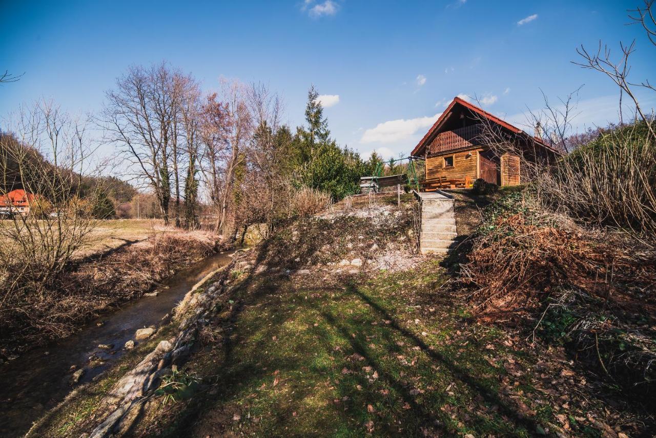 Wooden Cabin Zurej With Hot Tub Bukovje v Babni Gori Eksteriør bilde